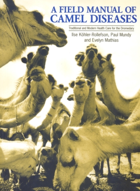A Field Manual of Camel Diseases : Traditional and modern veterinary care for the dromedary, Paperback / softback Book