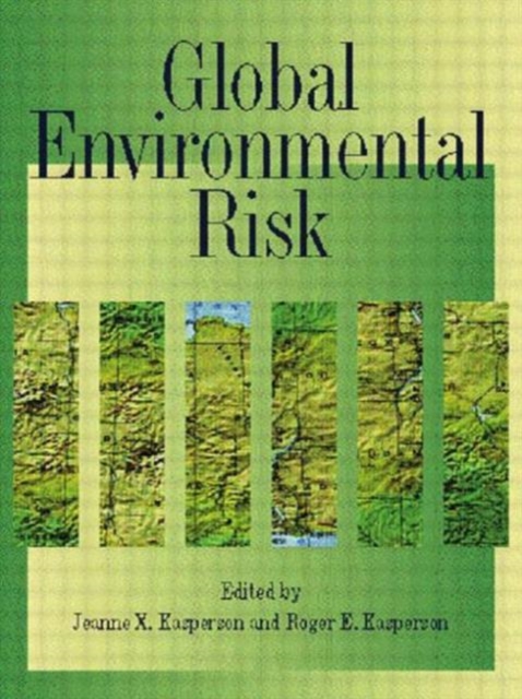Global Environmental Risk, Paperback / softback Book