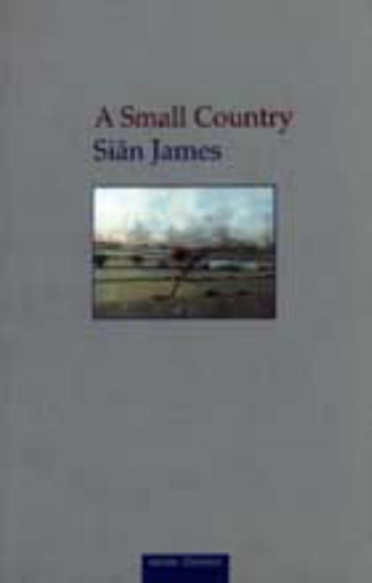 A Small Country, Paperback / softback Book