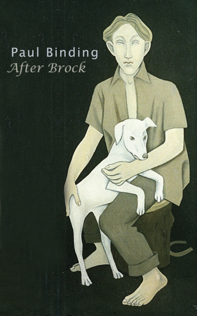 After Brock, Paperback / softback Book