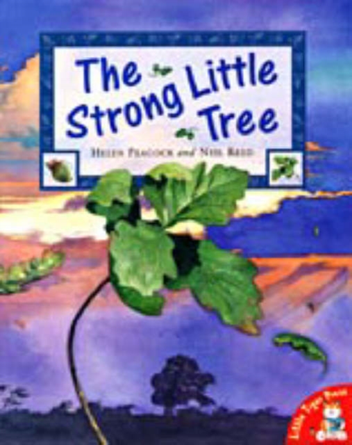 The Strong Little Tree, Paperback / softback Book