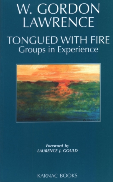 Tongued with Fire : Groups in Experience, Paperback / softback Book