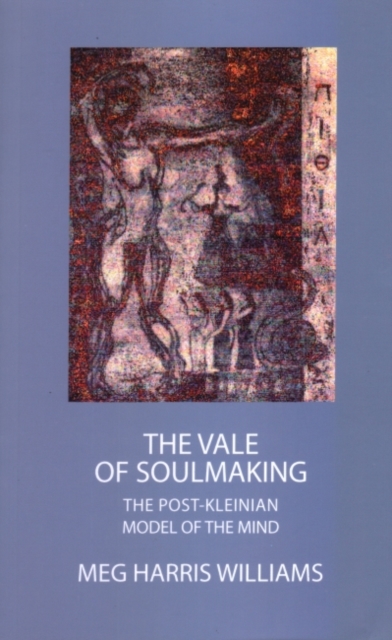 The Vale of Soulmaking : The Post-Kleinian Model of the Mind, Paperback / softback Book