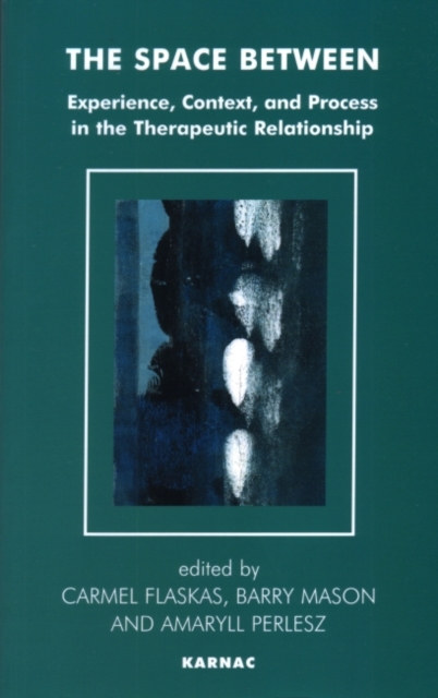 The Space Between : Experience, Context, and Process in the Therapeutic Relationship, Paperback / softback Book