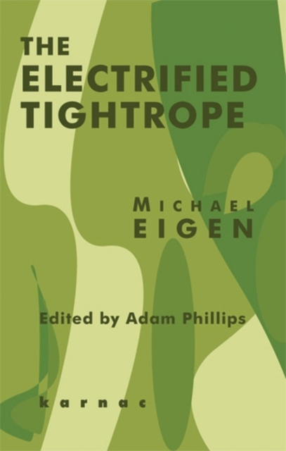 The Electrified Tightrope, Paperback / softback Book