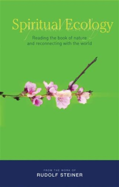 Spiritual Ecology, EPUB eBook