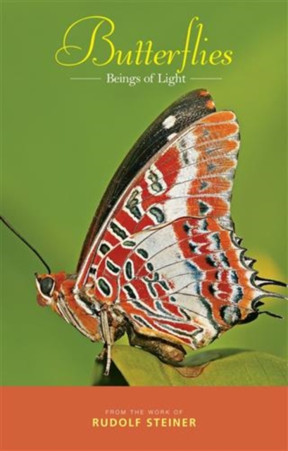 Butterflies, EPUB eBook