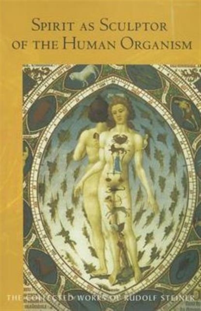 Spirit as Sculptor of the Human Organism, Paperback / softback Book