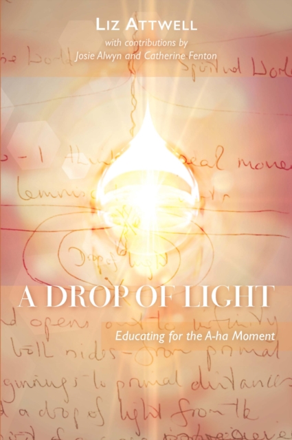 A Drop of Light, EPUB eBook