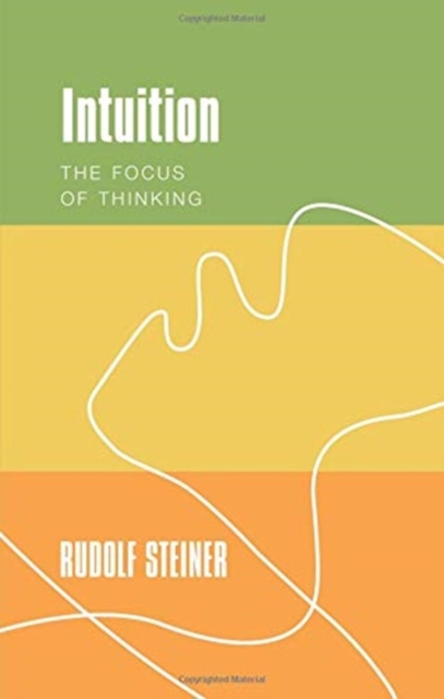 Intuition : The Focus of Thinking, Paperback / softback Book