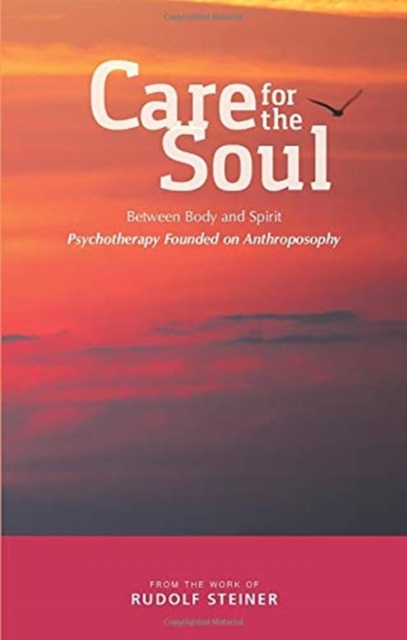 Care for the Soul : Between Body and Spirit - Psychotherapy Founded on Anthroposophy, Paperback / softback Book