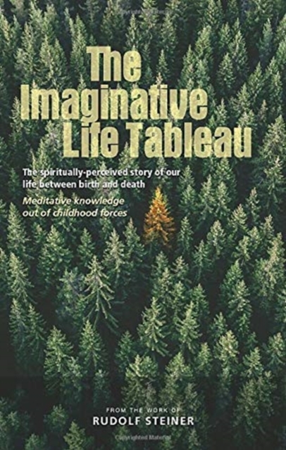 The Imaginative Life Tableau : The spiritually-perceived story of our life between birth and death. Meditative knowledge out of childhood forces, Paperback / softback Book