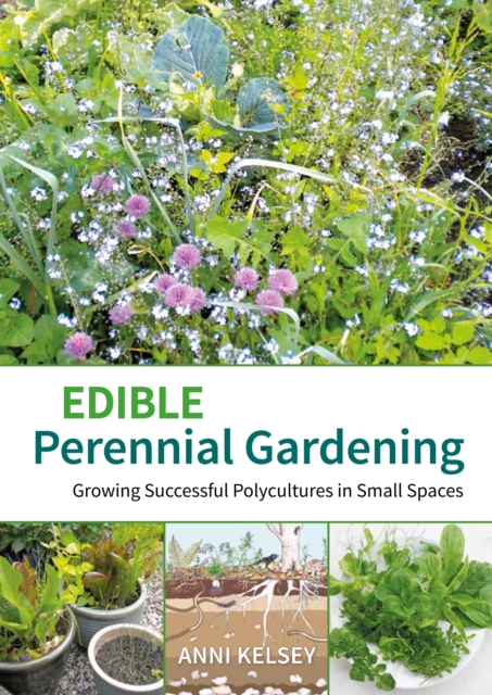 Edible Perennial Gardening: Growing Successful Polycultures in Small Spaces, Paperback / softback Book