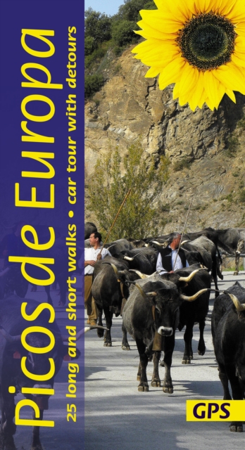 Picos de Europa Sunflower Walking Guide : 25 long and short walks with detailed maps and GPS; car tour with pull-out map, Paperback / softback Book
