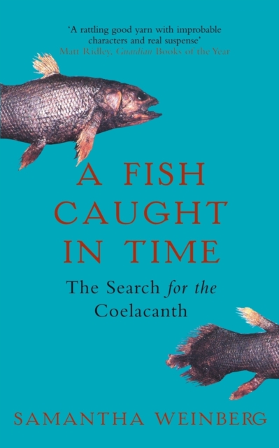 A Fish Caught in Time : The Search for the Coelacanth, Paperback / softback Book