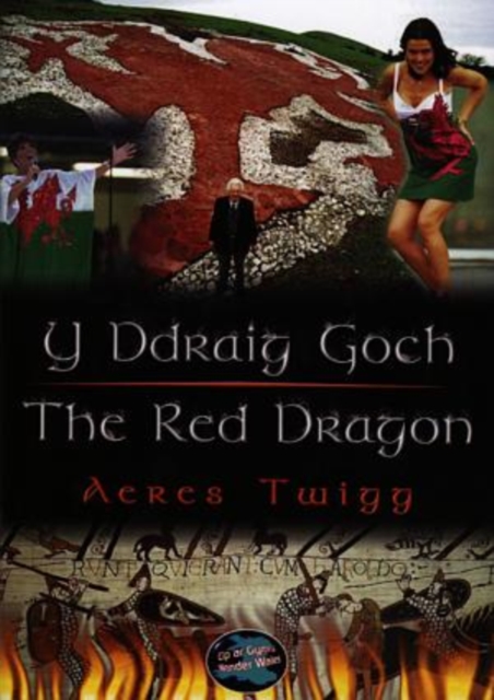 Cyfres Cip ar Gymru / Wonder Wales: Ddraig Goch, Y / The Red Dragon, Paperback / softback Book
