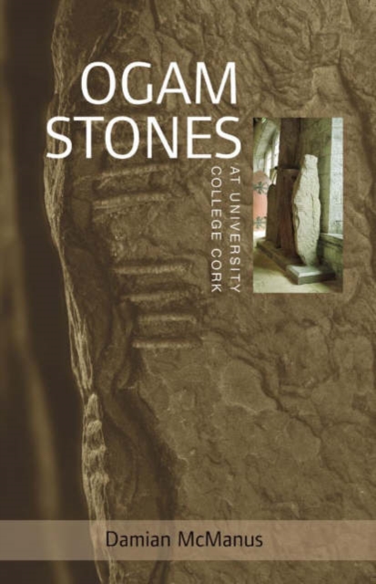 The Ogam Stones at University College Cork, Paperback / softback Book