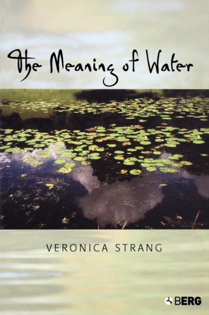 The Meaning of Water, Paperback / softback Book