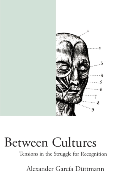 Between Cultures : Tensions in the Struggle for Recognition, Paperback / softback Book