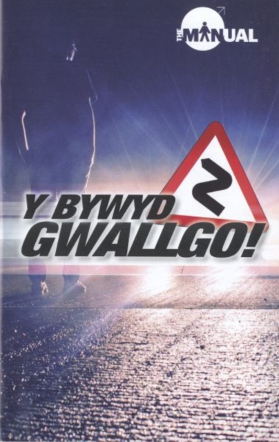 Bywyd Gwallgo!, Y, Paperback / softback Book