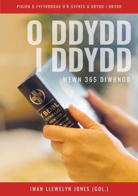 O Ddydd i Ddydd Mewn 366 Diwrnod, Paperback / softback Book