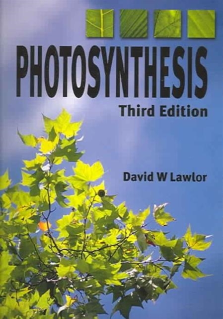 Photosynthesis, Paperback / softback Book