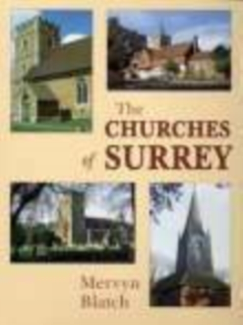 The Churches of Surrey, Paperback / softback Book
