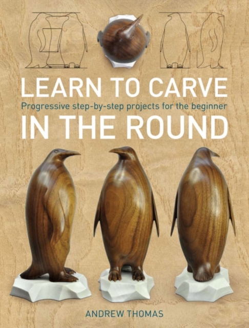 Learn to Carve in the Round : Progressive Step-by-step Projects for the Beginner, Paperback Book