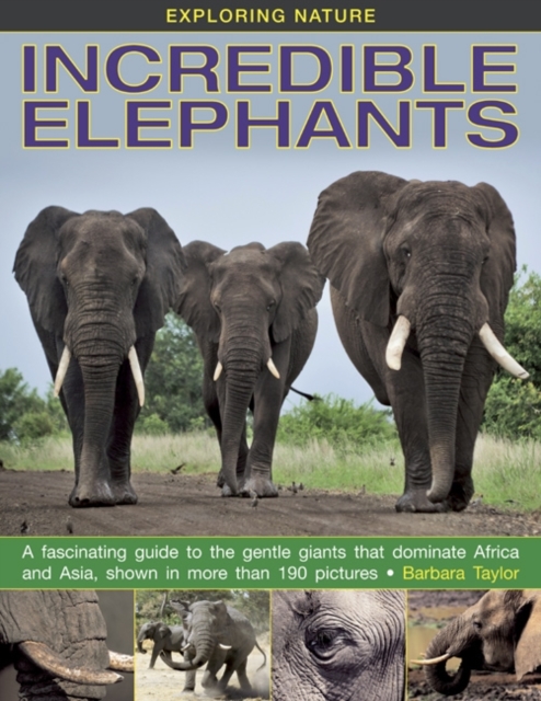 Exploring Nature: Incredible Elephants, Hardback Book