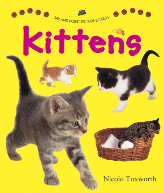 Say and Point Picture Boards: Kittens, Board book Book