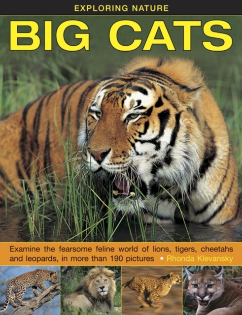 Exploring Nature: Big Cats, Hardback Book