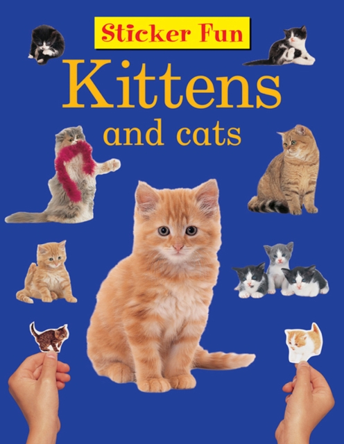 Sticker Fun - Kittens & Cats, Paperback / softback Book