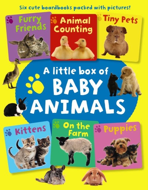Little Box of Baby Animals, Board book Book