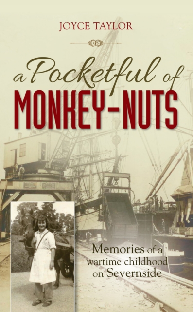 A Pocketful of Monkey-Nuts : Memories of a wartime childhood on Severnside, Paperback / softback Book