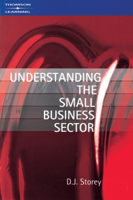 Understanding the Small Business Sector, Paperback / softback Book