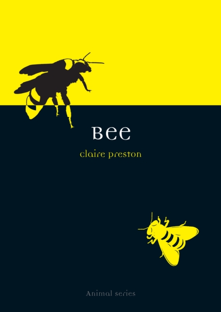 Bee, Paperback / softback Book