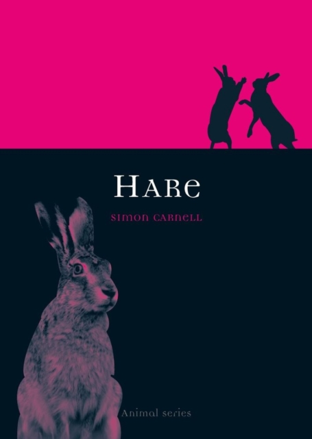Hare, Paperback / softback Book