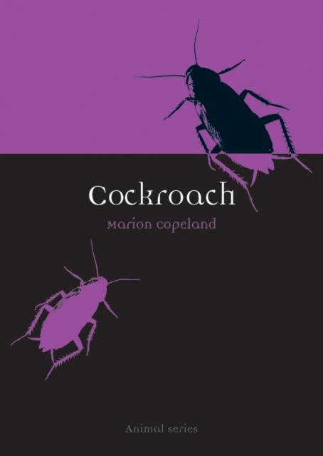 Cockroach, EPUB eBook