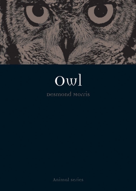 Owl, Paperback / softback Book