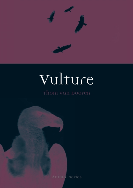 Vulture, Paperback / softback Book