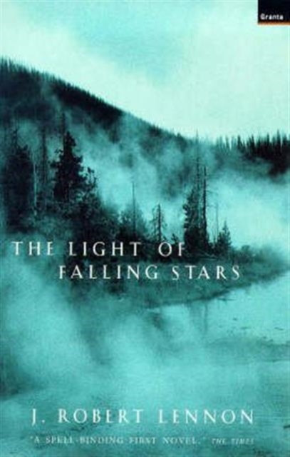 Light of Falling Stars, Paperback Book