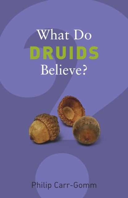 What Do Druids Believe?, Paperback / softback Book