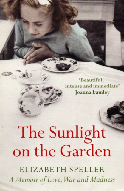 The Sunlight On The Garden : A Family In Love, War And Madness, Paperback / softback Book