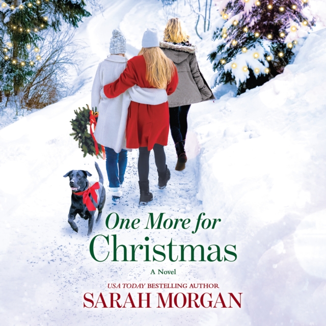One More for Christmas, eAudiobook MP3 eaudioBook