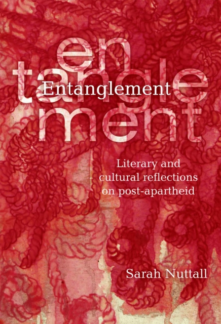 Entanglement : Literary and cultural reflections on post-apartheid, EPUB eBook