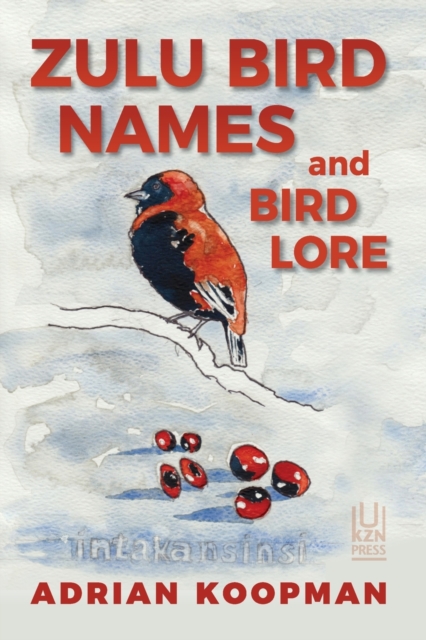 Zulu Bird Names and Bird Lore, Paperback / softback Book
