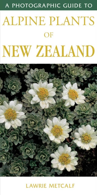 Photographic Guide To Alpine Plants Of New Zealand, Paperback / softback Book