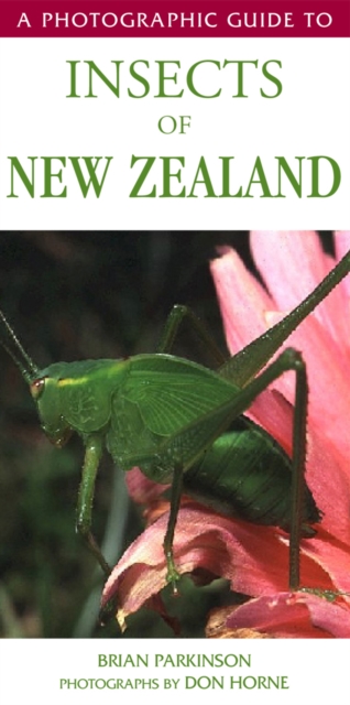Photographic Guide To Insects Of New Zealand, Paperback / softback Book