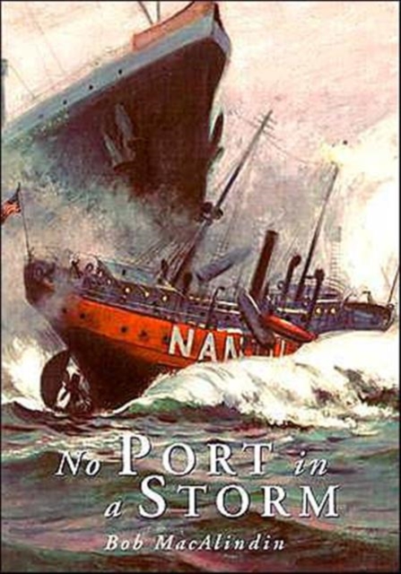 No Port in a Storm, Paperback / softback Book