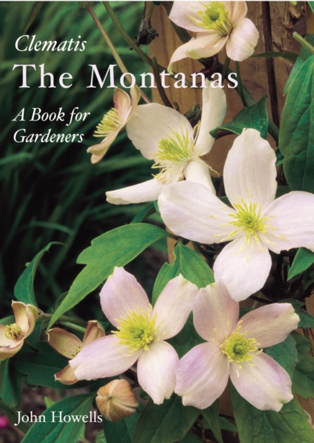 Montanas: Everyone's Clematis - a Book for Gardeners, Hardback Book